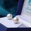 large south sea 8mm pearl earrings studs